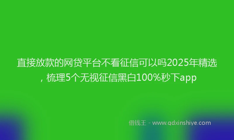 直接放款的网贷平台不看征信可以吗2025年精选，梳理5个无视征信黑白100%秒下app