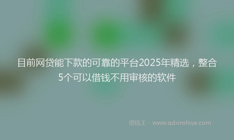 目前网贷能下款的可靠的平台2025年精选，整合5个可以借钱不用审核的软件