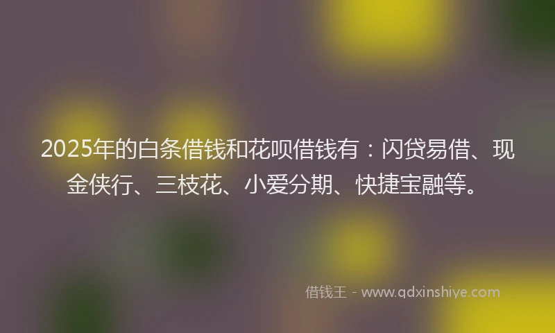 2025年的白条借钱和花呗借钱有：闪贷易借、现金侠行、三枝花、小爱分期、快捷宝融等。