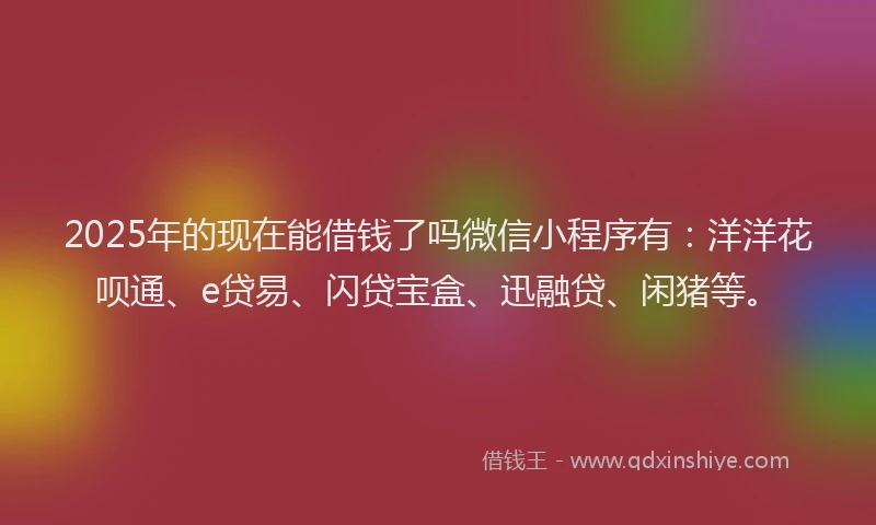 2025年的现在能借钱了吗微信小程序有：洋洋花呗通、e贷易、闪贷宝盒、迅融贷、闲猪等。