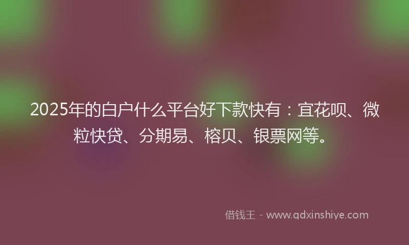 2025年的白户什么平台好下款快有：宜花呗、微粒快贷、分期易、榕贝、银票网等。