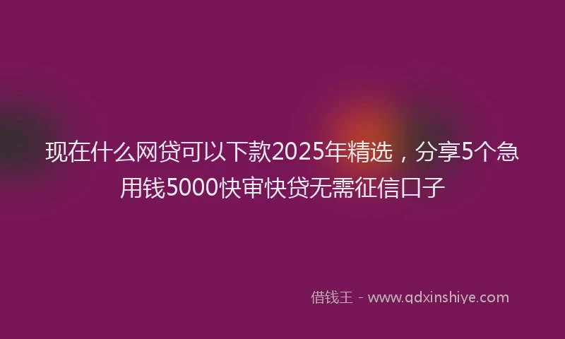 现在什么网贷可以下款2025年精选，分享5个急用钱5000快审快贷无需征信口子