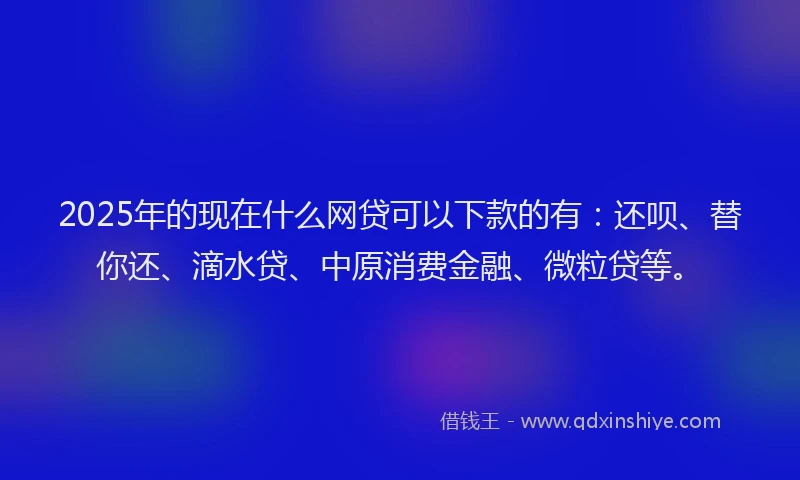 2025年的现在什么网贷可以下款的有：还呗、替你还、滴水贷、中原消费金融、微粒贷等。