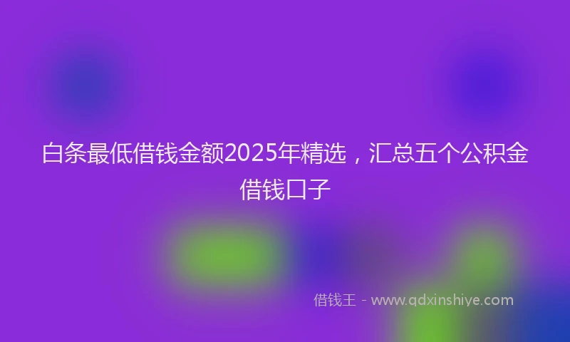 白条最低借钱金额2025年精选，汇总五个公积金借钱口子