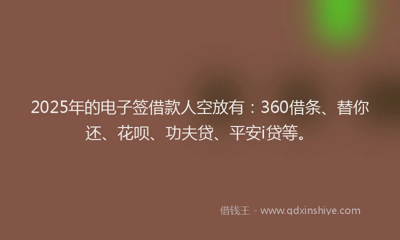2025年的电子签借款人空放有：360借条、替你还、花呗、功夫贷、平安i贷等。