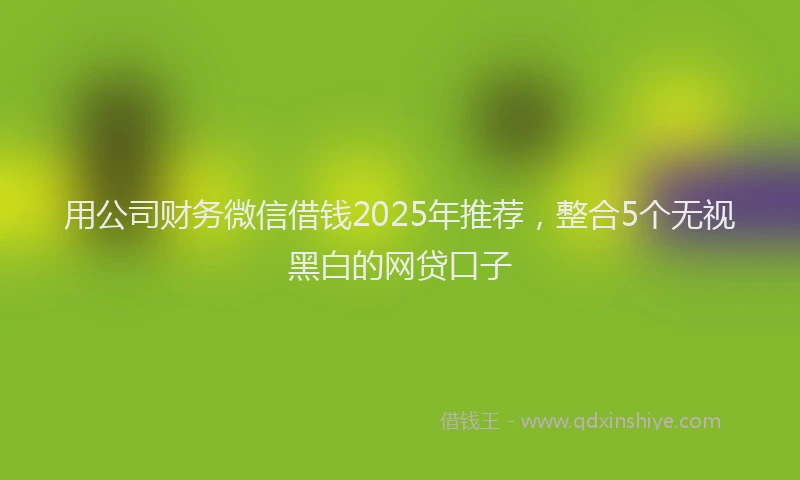 用公司财务微信借钱2025年推荐，整合5个无视黑白的网贷口子