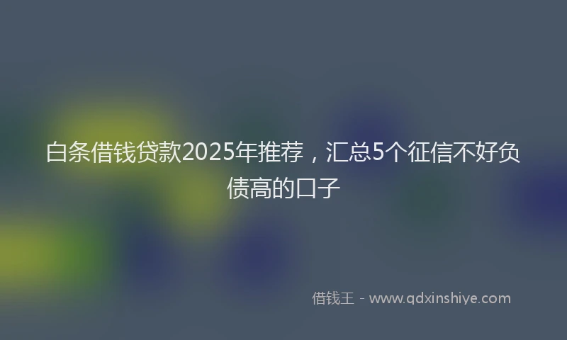 白条借钱贷款2025年推荐，汇总5个征信不好负债高的口子