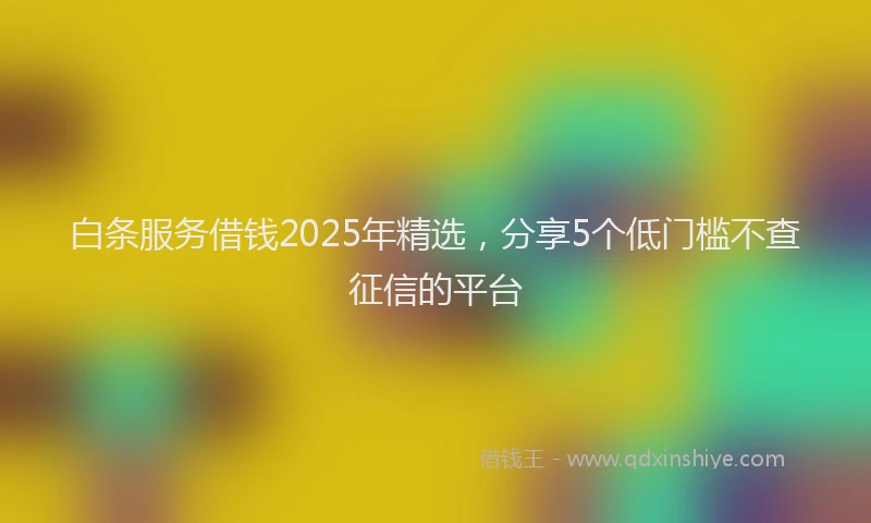 白条服务借钱2025年精选，分享5个低门槛不查征信的平台