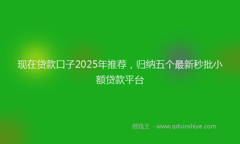 现在贷款口子2025年推荐，归纳五个最新秒批小额贷款平台