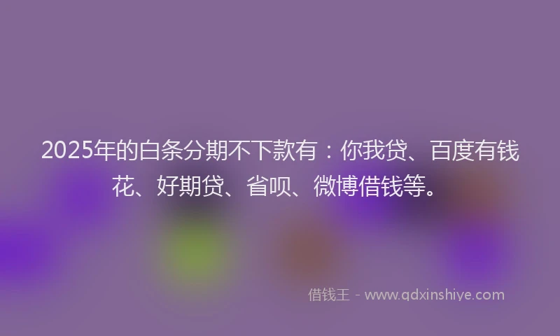 2025年的白条分期不下款有:你我贷、百度有钱花、好期贷、省呗、微博借钱等。