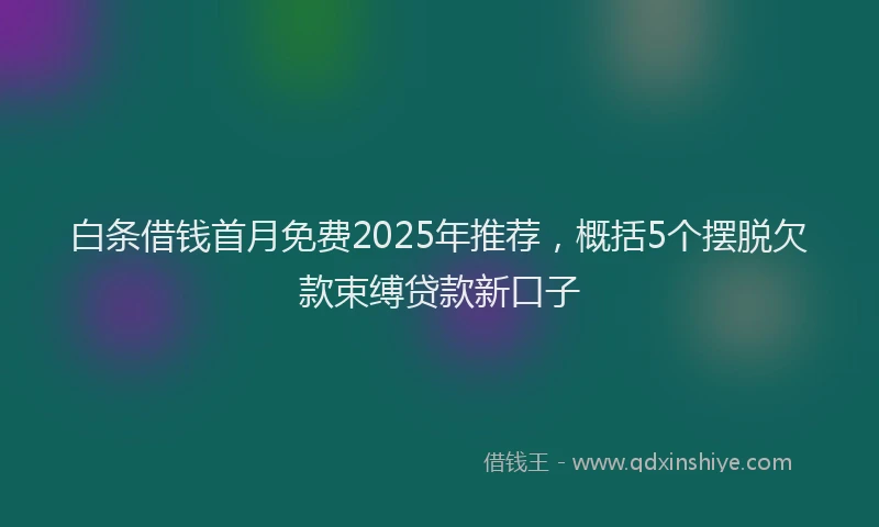 白条借钱首月免费2025年推荐，概括5个摆脱欠款束缚贷款新口子