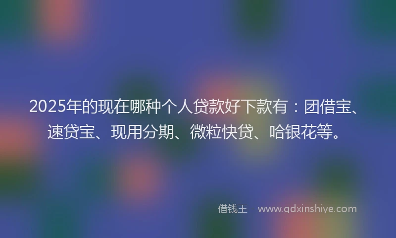 2025年的现在哪种个人贷款好下款有：团借宝、速贷宝、现用分期、微粒快贷、哈银花等。