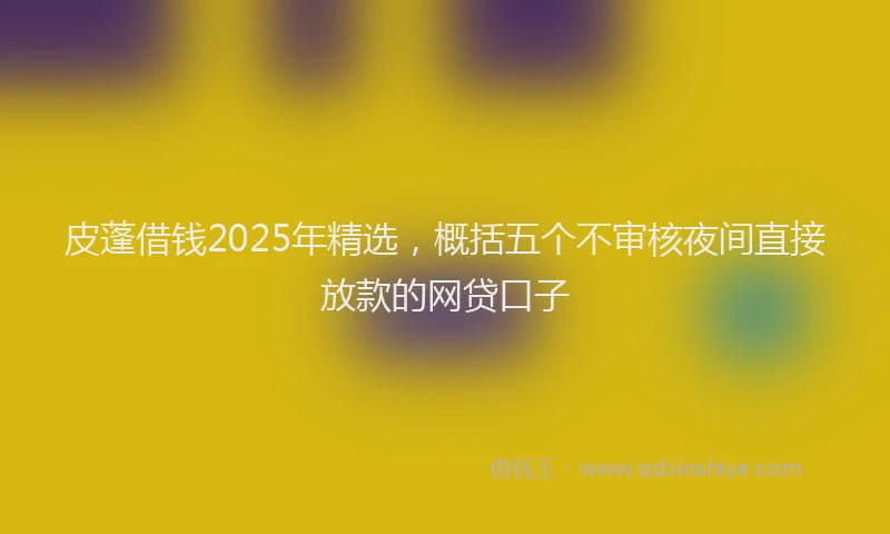皮蓬借钱2025年精选，概括五个不审核夜间直接放款的网贷口子