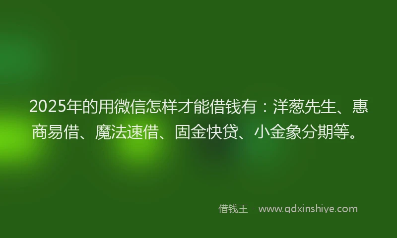 2025年的用微信怎样才能借钱有：洋葱先生、惠商易借、魔法速借、固金快贷、小金象分期等。