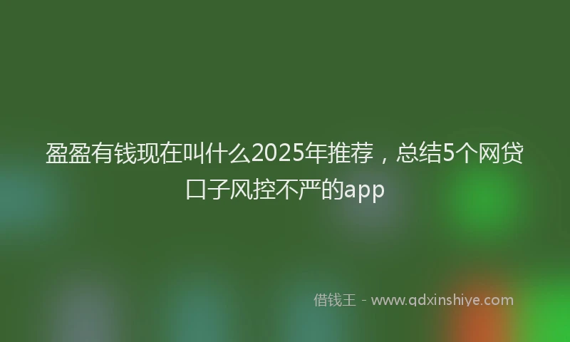 盈盈有钱现在叫什么2025年推荐，总结5个网贷口子风控不严的app