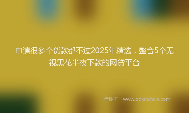 申请很多个货款都不过2025年精选，整合5个无视黑花半夜下款的网贷平台