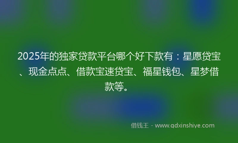 2025年的独家贷款平台哪个好下款有：星愿贷宝、现金点点、借款宝速贷宝、福星钱包、星梦借款等。
