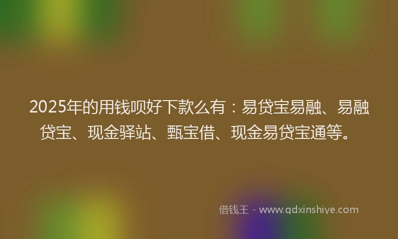 2025年的用钱呗好下款么有：易贷宝易融、易融贷宝、现金驿站、甄宝借、现金易贷宝通等。