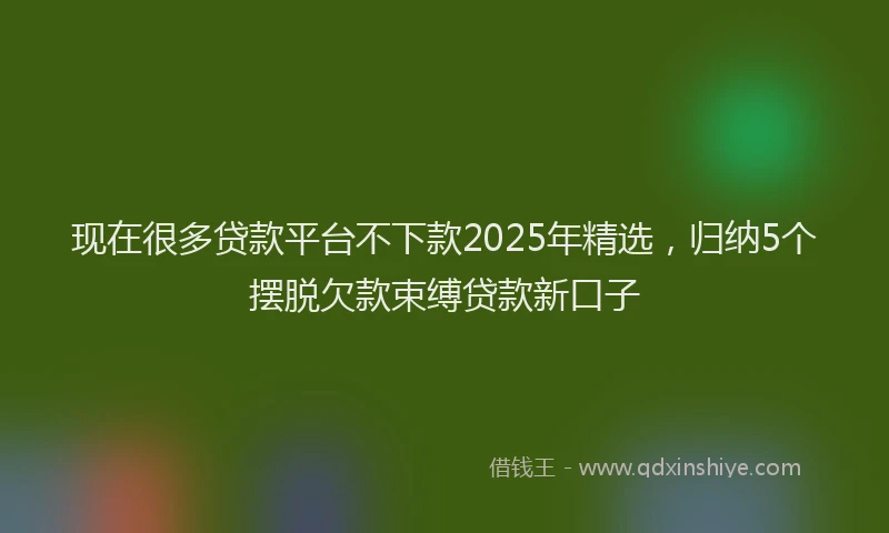现在很多贷款平台不下款2025年精选，归纳5个摆脱欠款束缚贷款新口子