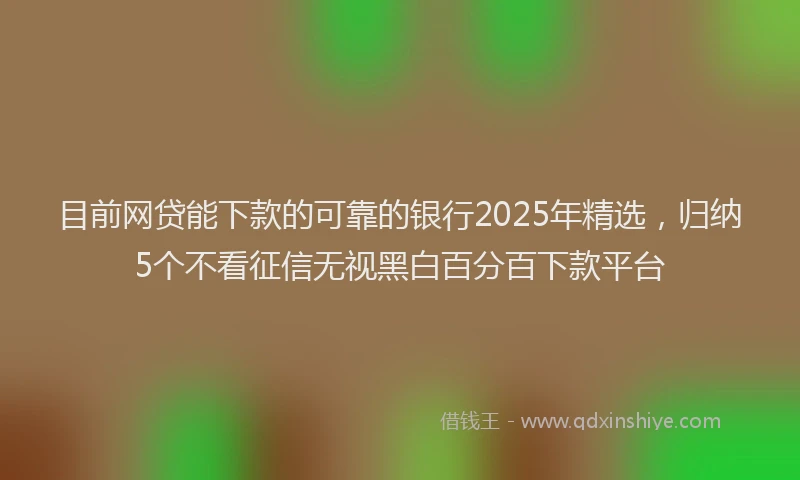 目前网贷能下款的可靠的银行2025年精选，归纳5个不看征信无视黑白百分百下款平台