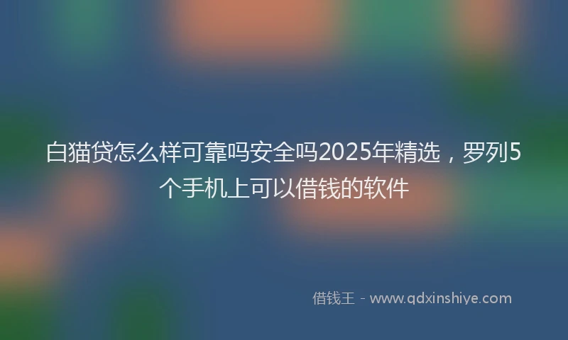 白猫贷怎么样可靠吗安全吗2025年精选，罗列5个手机上可以借钱的软件