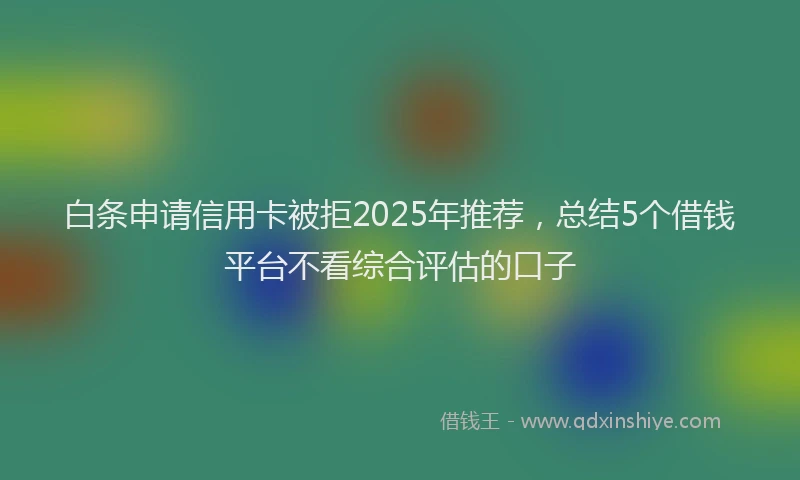白条申请信用卡被拒2025年推荐，总结5个借钱平台不看综合评估的口子