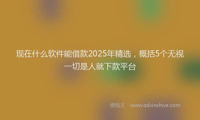 现在什么软件能借款2025年精选，概括5个无视一切是人就下款平台