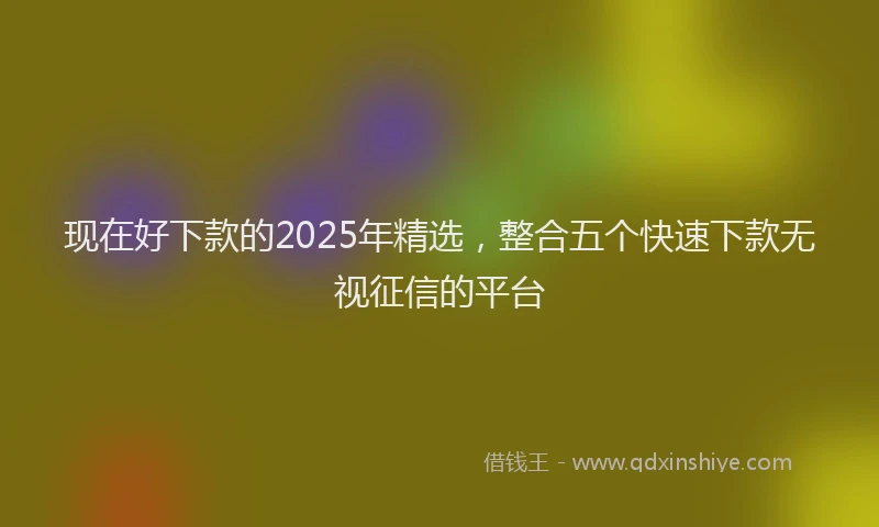 现在好下款的2025年精选，整合五个快速下款无视征信的平台