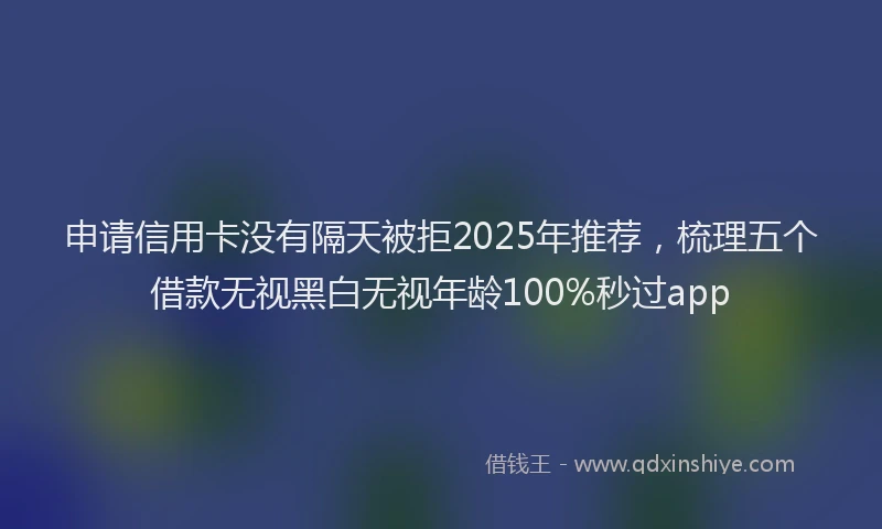 申请信用卡没有隔天被拒2025年推荐，梳理五个借款无视黑白无视年龄100%秒过app