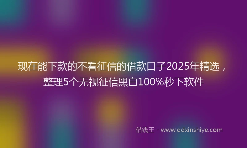 现在能下款的不看征信的借款口子2025年精选，整理5个无视征信黑白100%秒下软件
