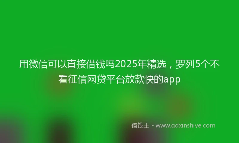 用微信可以直接借钱吗2025年精选，罗列5个不看征信网贷平台放款快的app