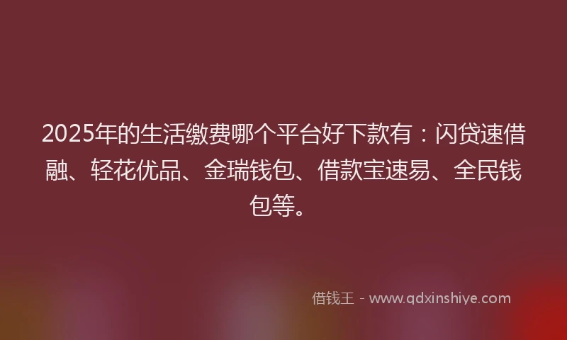 2025年的生活缴费哪个平台好下款有：闪贷速借融、轻花优品、金瑞钱包、借款宝速易、全民钱包等。