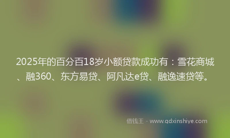 2025年的百分百18岁小额贷款成功有：雪花商城、融360、东方易贷、阿凡达e贷、融逸速贷等。