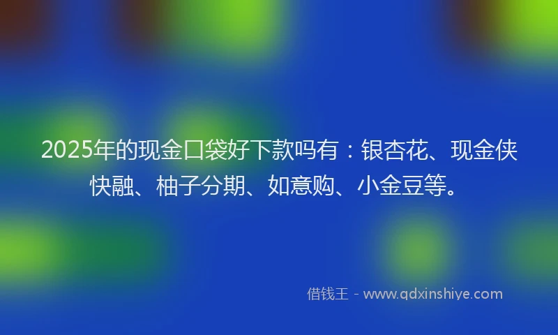 2025年的现金口袋好下款吗有：银杏花、现金侠快融、柚子分期、如意购、小金豆等。