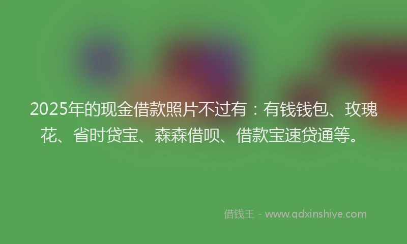 2025年的现金借款照片不过有：有钱钱包、玫瑰花、省时贷宝、森森借呗、借款宝速贷通等。
