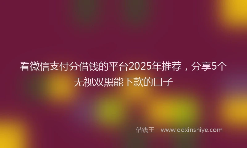 看微信支付分借钱的平台2025年推荐，分享5个无视双黑能下款的口子