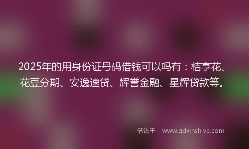 2025年的用身份证号码借钱可以吗有：桔享花、花豆分期、安逸速贷、辉誉金融、星辉贷款等。