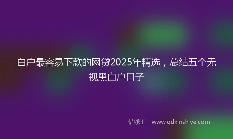 白户最容易下款的网贷2025年精选，总结五个无视黑白户口子