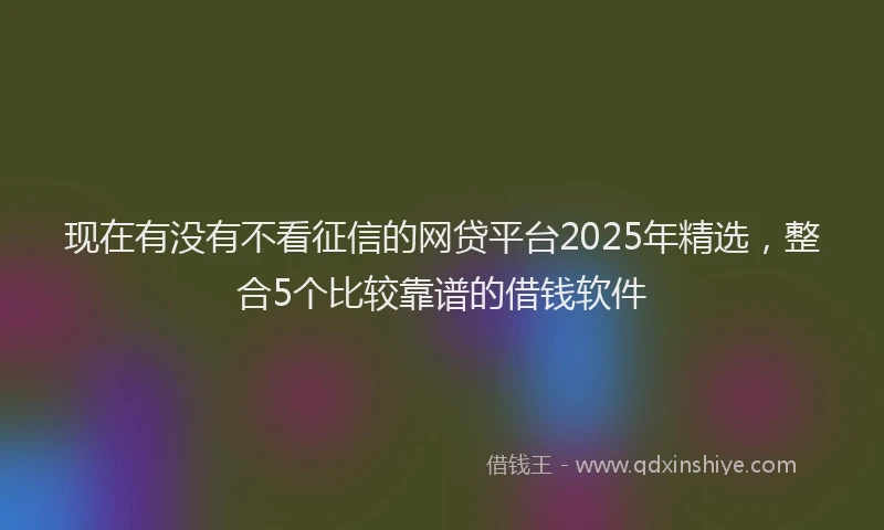 现在有没有不看征信的网贷平台2025年精选，整合5个比较靠谱的借钱软件