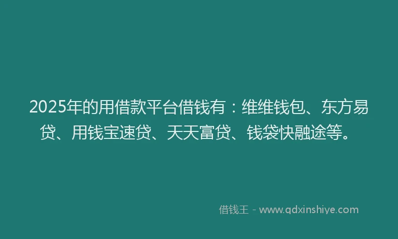 2025年的用借款平台借钱有：维维钱包、东方易贷、用钱宝速贷、天天富贷、钱袋快融途等。