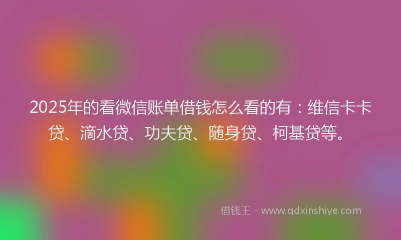 2025年的看微信账单借钱怎么看的有：维信卡卡贷、滴水贷、功夫贷、随身贷、柯基贷等。