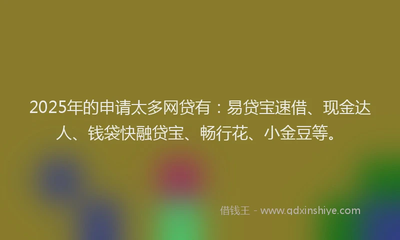 2025年的申请太多网贷有：易贷宝速借、现金达人、钱袋快融贷宝、畅行花、小金豆等。