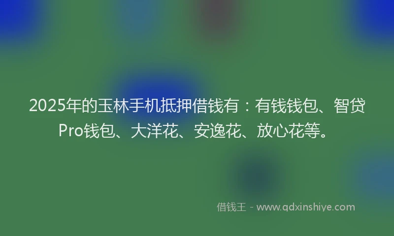 2025年的玉林手机抵押借钱有：有钱钱包、智贷Pro钱包、大洋花、安逸花、放心花等。