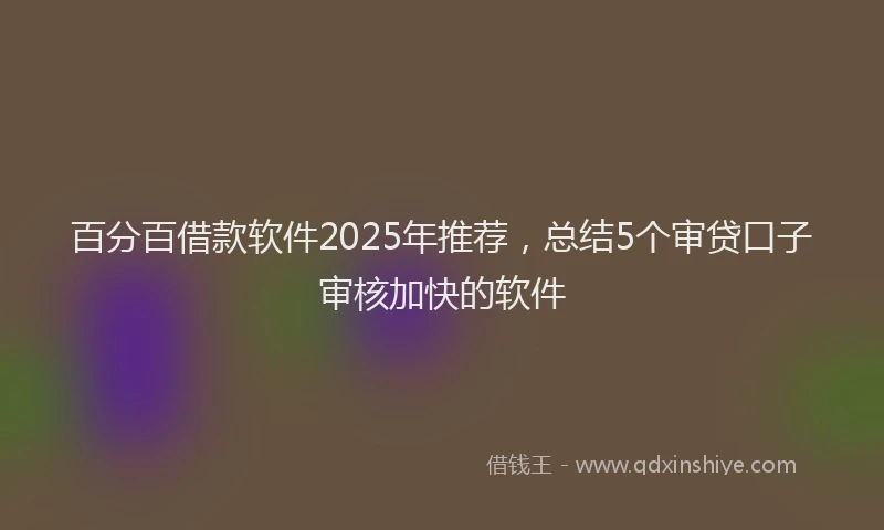 百分百借款软件2025年推荐，总结5个审贷口子审核加快的软件