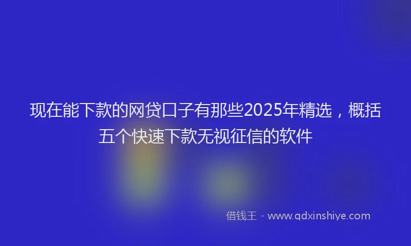 现在能下款的网贷口子有那些2025年精选，概括五个快速下款无视征信的软件