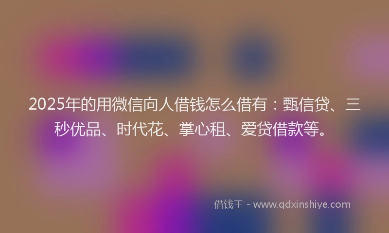 2025年的用微信向人借钱怎么借有：甄信贷、三秒优品、时代花、掌心租、爱贷借款等。
