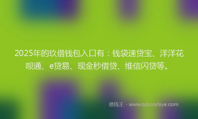 2025年的玖借钱包入口有：钱袋速贷宝、洋洋花呗通、e贷易、现金秒借贷、维信闪贷等。