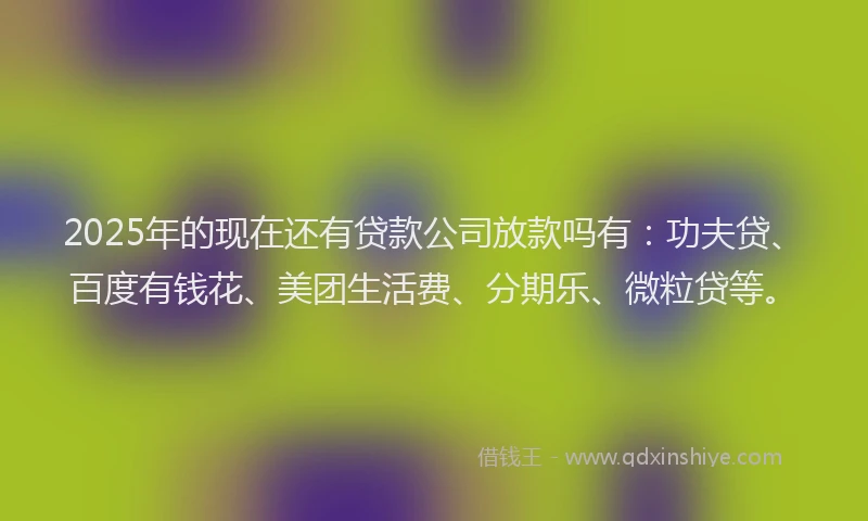 2025年的现在还有贷款公司放款吗有：功夫贷、百度有钱花、美团生活费、分期乐、微粒贷等。