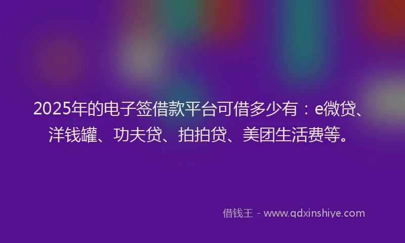 2025年的电子签借款平台可借多少有：e微贷、洋钱罐、功夫贷、拍拍贷、美团生活费等。