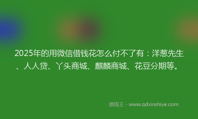 2025年的用微信借钱花怎么付不了有：洋葱先生、人人贷、丫头商城、麒麟商城、花豆分期等。